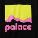 Camiseta Palace Berghaus Black